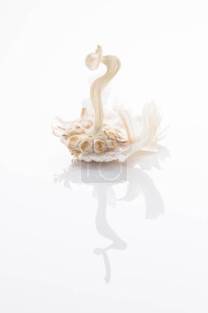 Photo for Garlic head without cloves on white background with reflection. - Royalty Free Image