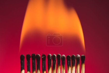 Photo for Matches burn feeding the same flame. Energy transmission and team concept. - Royalty Free Image