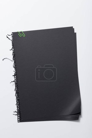 Foto de Hojas negras sostenidas por dos clips de papel verdes. Fondo blanco. - Imagen libre de derechos