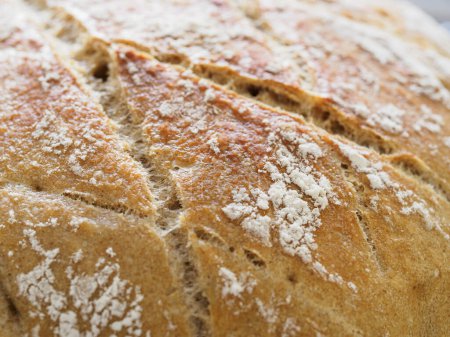 Primer plano de alta calidad de pan recién horneado, que muestra la textura y el polvo de harina claramente.