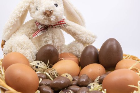 Foto de El Conejo de Pascua te presenta su futura distribución de huevos de Pascua - Imagen libre de derechos
