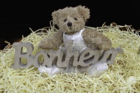 Photo for Feeling of happiness, the sweetness of childhood Teddy bear with the word happiness (bonheur is happiness in French) carved in wood - Royalty Free Image