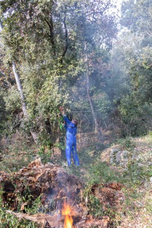Téléchargez les photos : Homme débroussaillant son jardin et brûlant des déchets verts Obligation légale de débroussaillage, de lutte contre les incendies de forêt - en image libre de droit