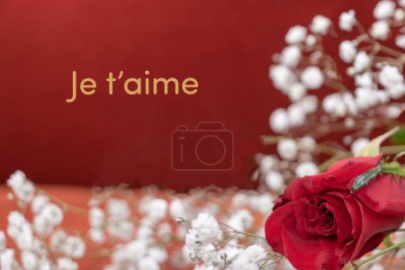 Téléchargez les photos : Ressource graphique de la Saint Valentin avec une déclaration d'amour (Je t'aime en français) "Je t'aime" - en image libre de droit
