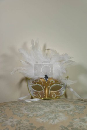 Photo for Feathered mask, white for carnival, half wolf - Royalty Free Image