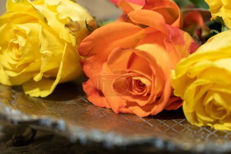 Téléchargez les photos : 3 roses jaunes et orange sur un plateau en cuivre oxydé, vue de face - en image libre de droit