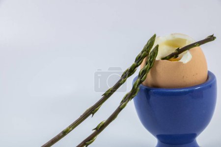 gekochtes Ei im blauen Eierbecher und wilder Spargel als Soldat