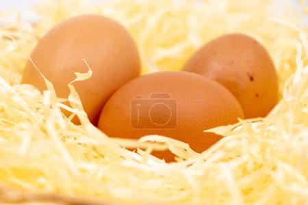Closeup on fresh eggs in straw on background, close up