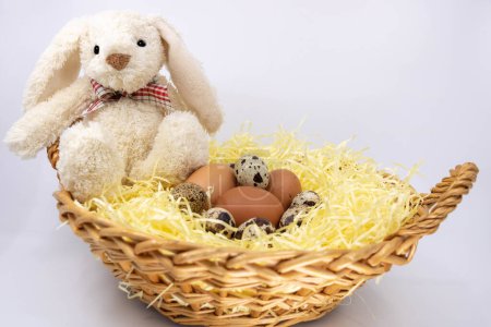 Rabbit soft toy in a basket of fresh eggs