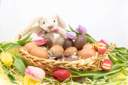 Easter bunny in a nest with tulips and easter eggs 