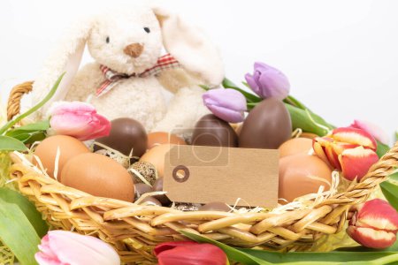 Easter bunny in a nest with tulips and easter eggs 