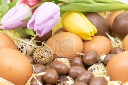 Foto de Pascua con colores suaves y pastel con huevos de chocolate y tulipanes - Imagen libre de derechos