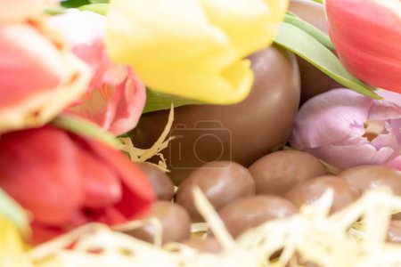 Foto de Pascua con colores suaves y pastel con huevos de chocolate y tulipanes - Imagen libre de derechos