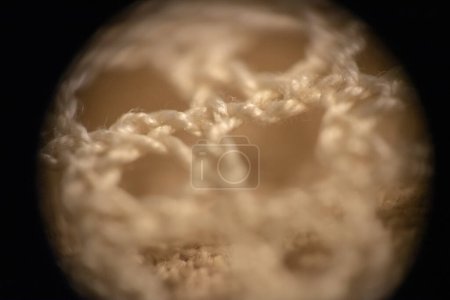 Microphotographie de dentelle vélin, macrophotographie, gros plan
