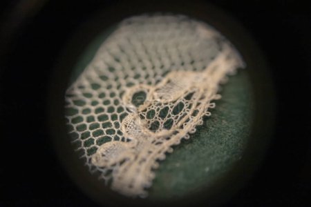 Microphotography of lace vellum, macrophotography, closeup