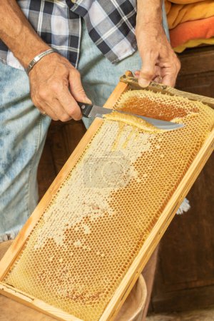 Cosecha de miel durante el descorchamiento con un cuchillo por el apicultor de los marcos de panales de la colmena primer plano de la miel