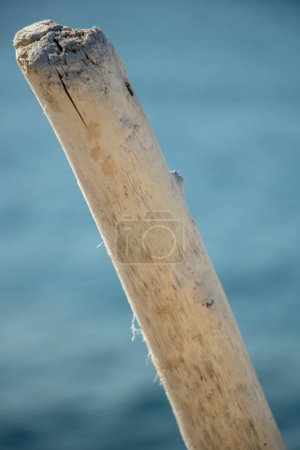 Foto de Madera blanca a la deriva en el fondo del mar y el cielo en el horizonte - Imagen libre de derechos