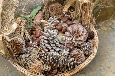 Pine cones and chestnuts in christmas decoration