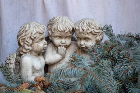 Foto de 3 querubines en ramas de pino, decoración navideña - Imagen libre de derechos