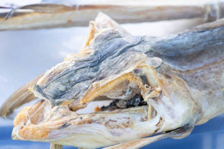 Foto de Primer plano de una cabeza de bacalao seca, especialidad de la cocina italiana - Imagen libre de derechos