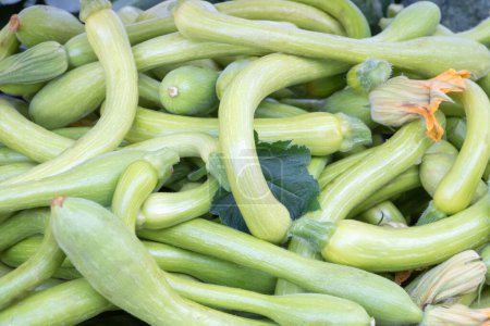 Photo for Market stall, Italian zucchini spring with their flowers - Royalty Free Image