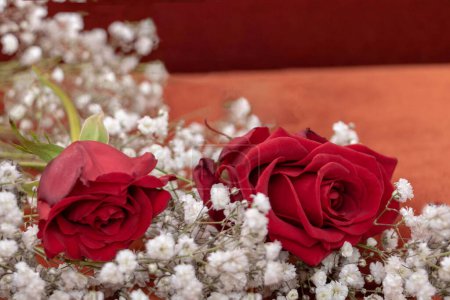 Téléchargez les photos : Rose rouge sur le lit de fleurs blanches de souffle de bébé pour la Saint-Valentin et déclaration d'amour - en image libre de droit