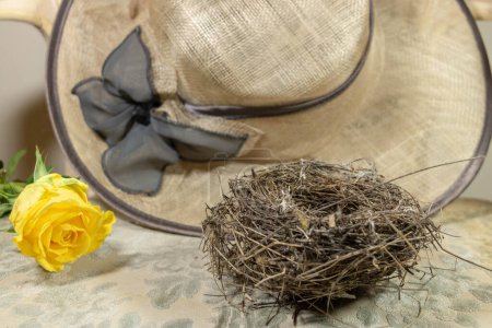 En el campo, detrás del jardín con un sombrero de paja, una rosa amarilla y un nido de pájaro