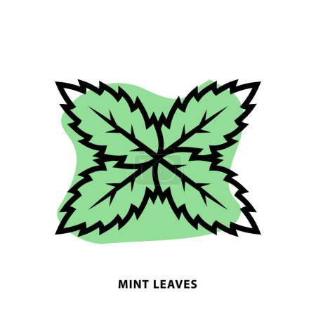 Illustration for Mint Leaves linear icon design for application or web design template. Vector Mint line icon with blot shape background. - Royalty Free Image