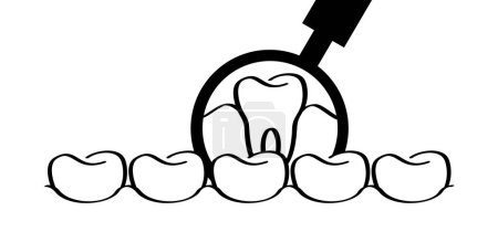Illustration for For dental day, dentists day. Cartoon healthy, magnifying glass showing tooth in-gums. Vector drawing icon. Damage teeth or tooth with caries and with roots visible. Cracked, damaged logo - Royalty Free Image