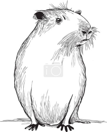 Téléchargez les illustrations : Black and white vector sketch illustration of cute capybara - en licence libre de droit