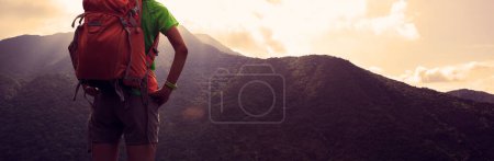 Téléchargez les photos : Randonneur réussi profiter de la vue sur le sommet de la montagne - en image libre de droit
