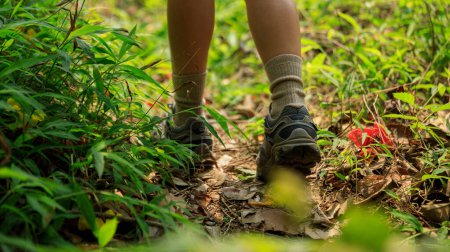 Foto de Mujer senderista piernas caminando por sendero en bosque de primavera - Imagen libre de derechos