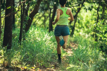 Téléchargez les photos : Fitness woman trail runner running in summer forest trail - en image libre de droit