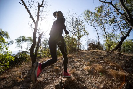 Téléchargez les photos : Fitness asiatique femme courir sur la piste au lever du soleil forêt tropicale en hiver - en image libre de droit