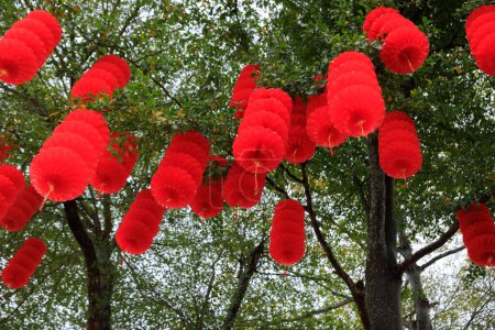 Photo for View of green tree decorated with traditional red lanterns for celebrating the Chinese spring festival - Royalty Free Image