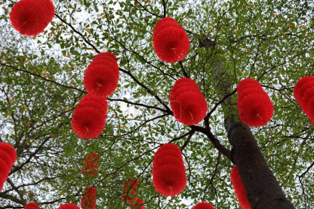 Foto de Vista del árbol verde decorado con faroles rojos tradicionales para celebrar el festival de primavera chino - Imagen libre de derechos