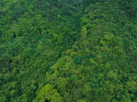 Téléchargez les photos : Aerial view of beautiful tropical forest mountain landscape - en image libre de droit