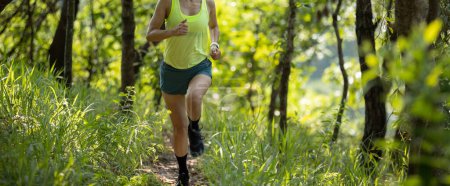 Photo for Trail runner running in summer forest trail - Royalty Free Image