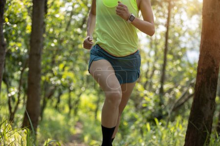 Foto de Trail runner running in summer forest trail - Imagen libre de derechos