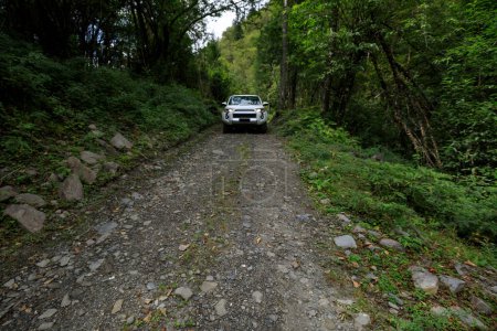 Foto de Conducir fuera del coche de carretera en el bosque de montaña de gran altitud - Imagen libre de derechos