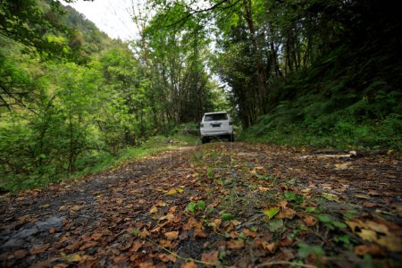 Téléchargez les photos : Conduite de voiture hors route dans la forêt de montagne de haute altitude - en image libre de droit