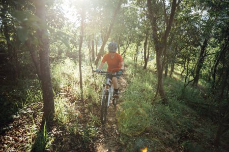 Foto de Mountain biking in summer forest - Imagen libre de derechos