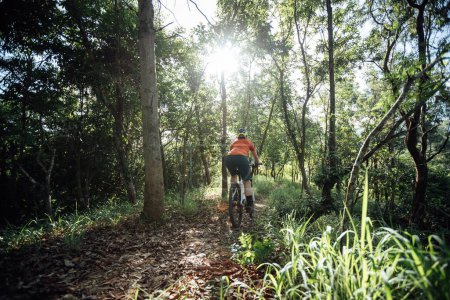 Téléchargez les photos : Mountain biking in summer forest - en image libre de droit