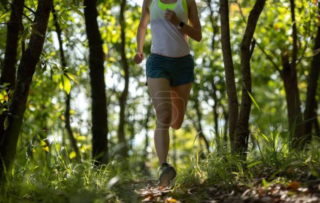 Fitness woman trail runner running in summer forest trail