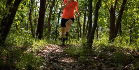 Foto de Corredor de senderos mujer corriendo en sendero forestal de verano - Imagen libre de derechos