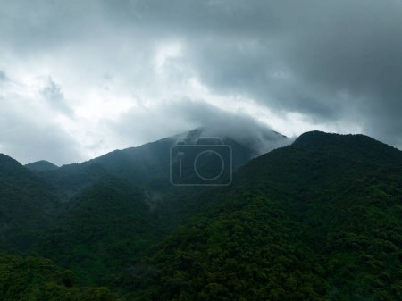 Téléchargez les photos : Vue aérienne du magnifique paysage de montagne de la forêt - en image libre de droit