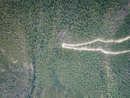 Téléchargez les photos : Vue aérienne de magnifiques paysages forestiers montagneux au Tibet, en Chine - en image libre de droit