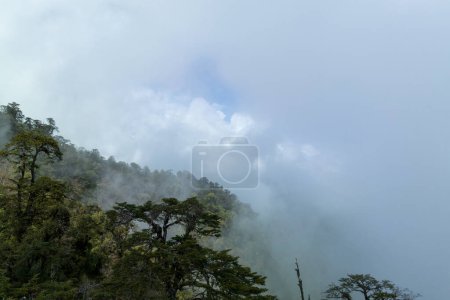 Photo for Aerial view of beautiful high altitude forest mountain landscape in tibet,China - Royalty Free Image
