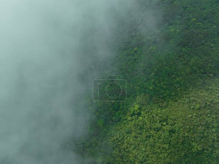 Foto de Vista aérea del hermoso paisaje de montaña del bosque - Imagen libre de derechos