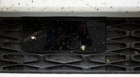 Téléchargez les photos : Bugs et mouches se sont écrasés et coincés dans la calandre du radiateur de voiture - en image libre de droit